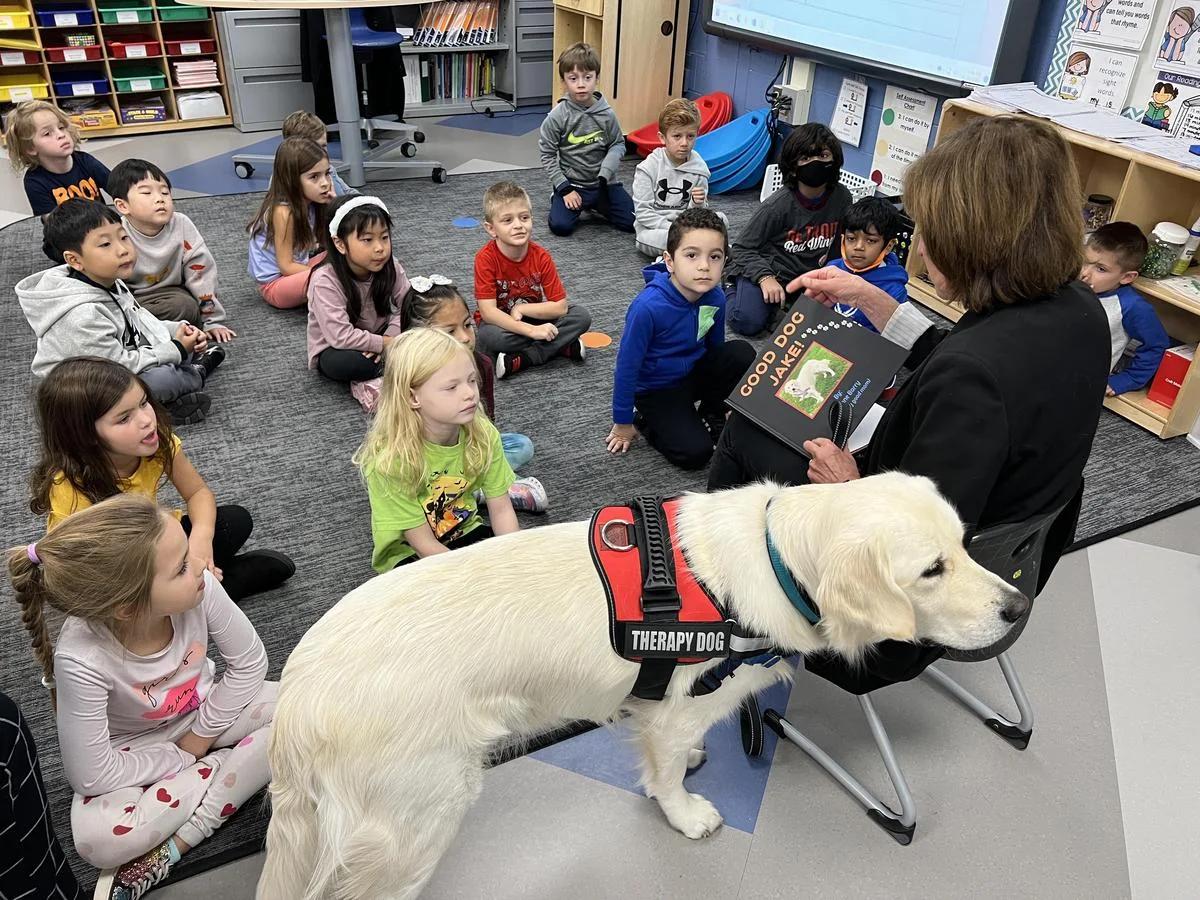 Dog Play Equipment in Schools and Educational Facilities: An Overview